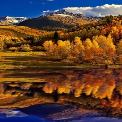 押注篮球的app手机app下载